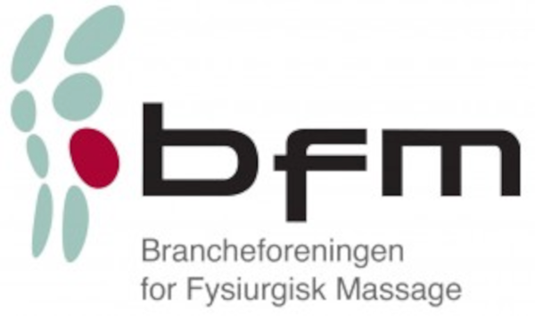 bfm logo